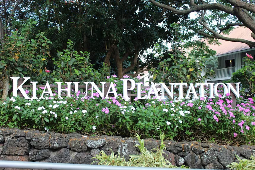 Palm-lined entrance road into Kiahuna Golf Village, Poipu, Kauai